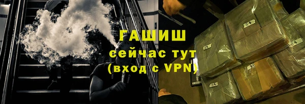 стафф Алексин