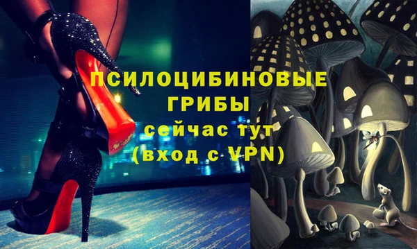 стафф Алексин